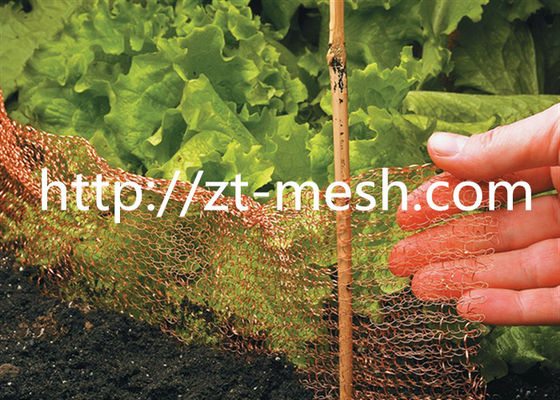 Galvanisierte geschweißte Drahtnetze mit Spiraleinschluss oder komprimiertem Gewebe